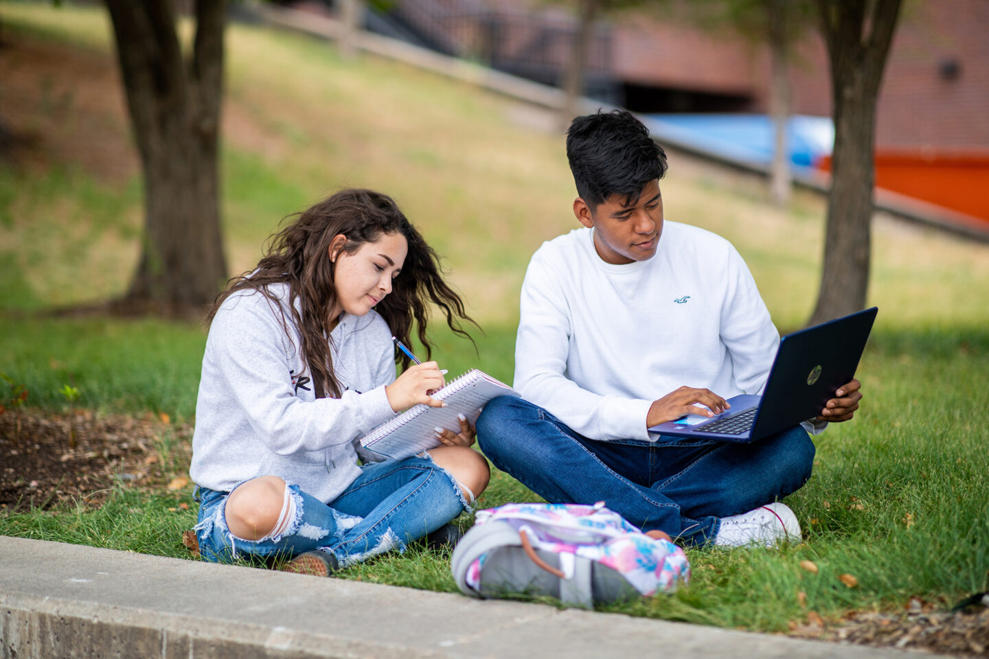 Two young students studying in a grassy area