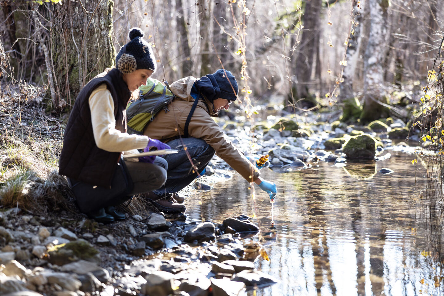 environment Researchers Taking a Sample of Water in a Forest Stream.