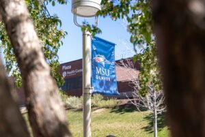 Flowering trees and traveling students on the MSU Denver Campus during spring semester