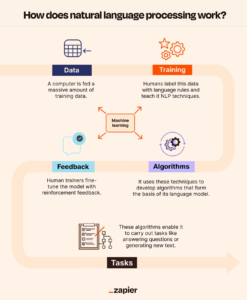 Infographic demonstrating how large language models with natural language processing capabilities are developed.