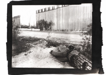 Tomiko Jones – Fallen Saguaro + Border Wall, 2019