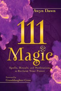 111 Magic book cover