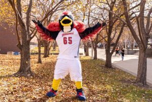 Rowdy throwing fall leaves.