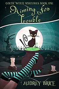 Aiming for Trouble book cover