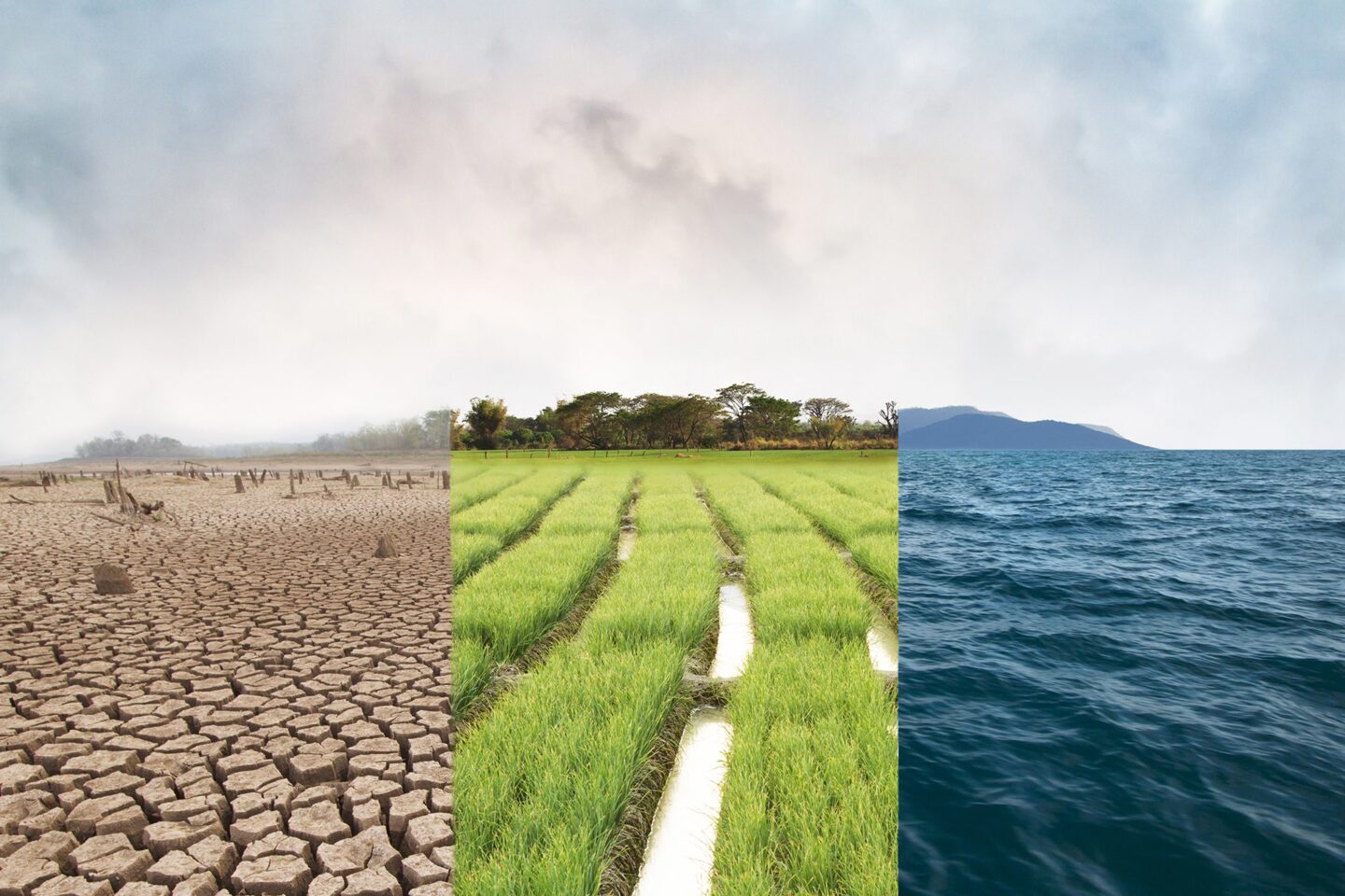 Global water concept with comparative images of Drought, Green field and Ocean