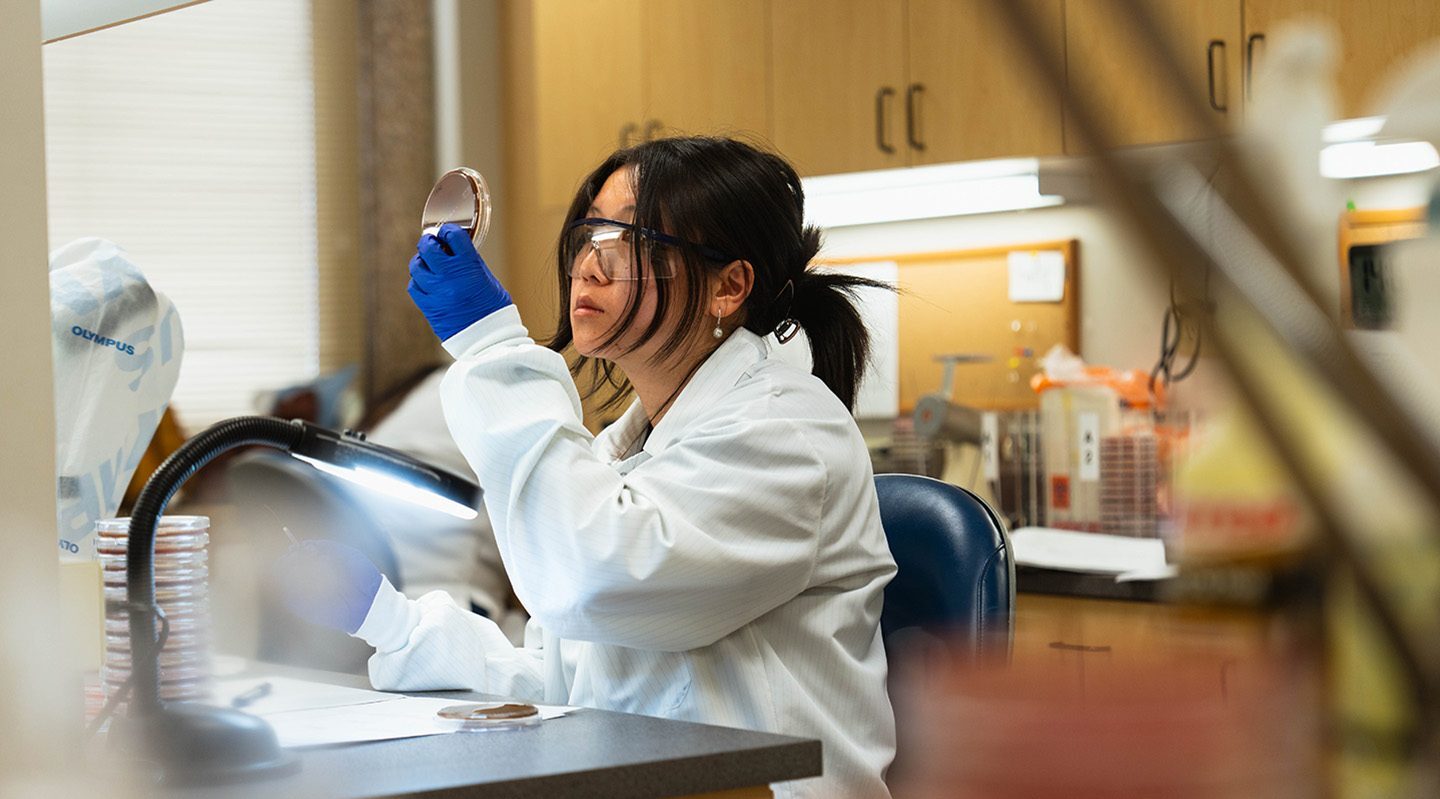 Woman scientist looking at collected sample