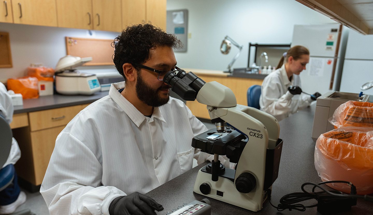 Male scientist looking at samples under a microscope