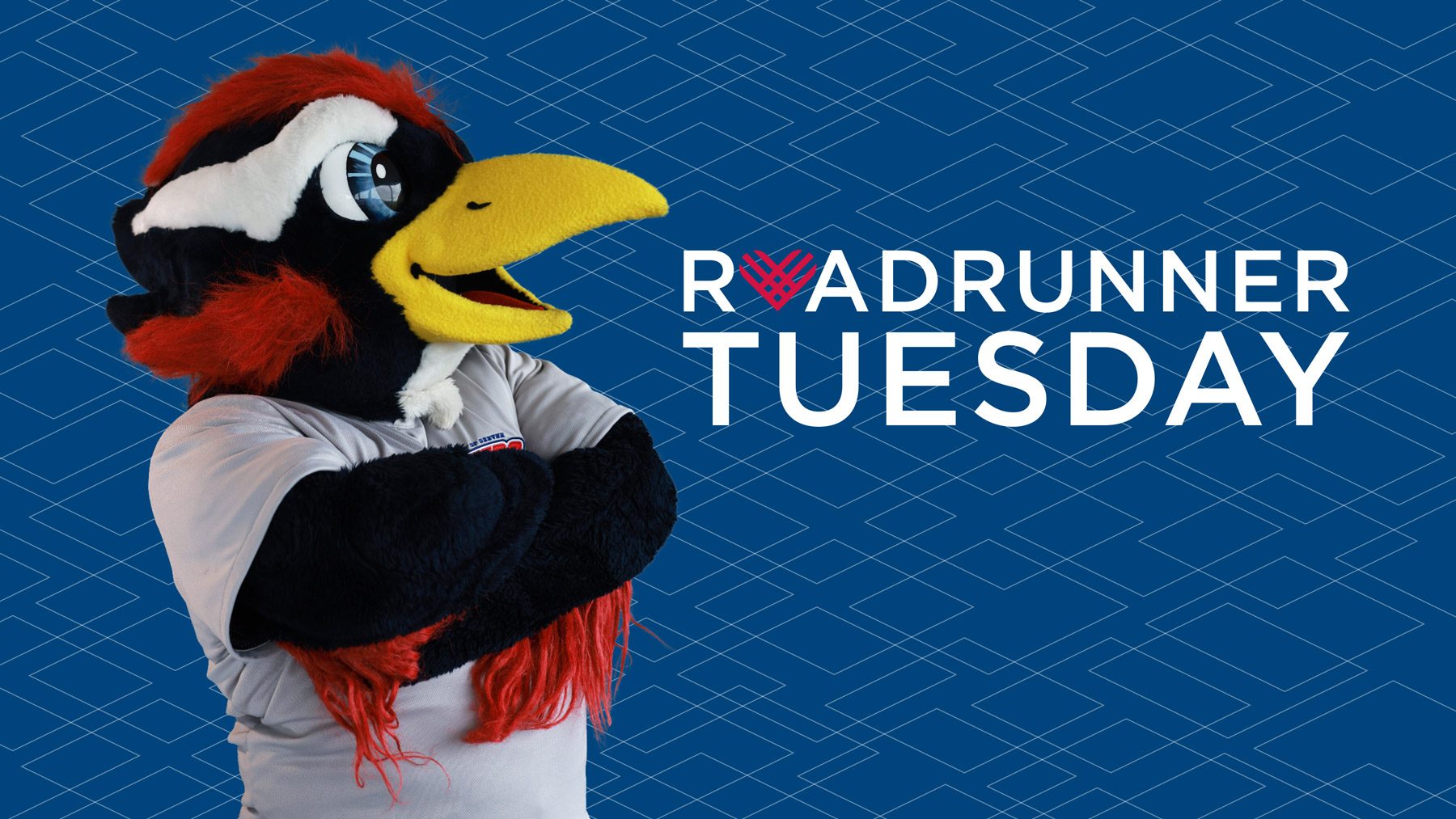 Roadrunner Tuesday graphic with the text to the right of Rowdy, who is looking at the text. Blue background with faint, white rhombuses.